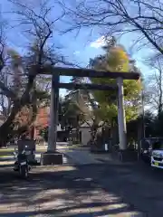 素鵞神社の鳥居