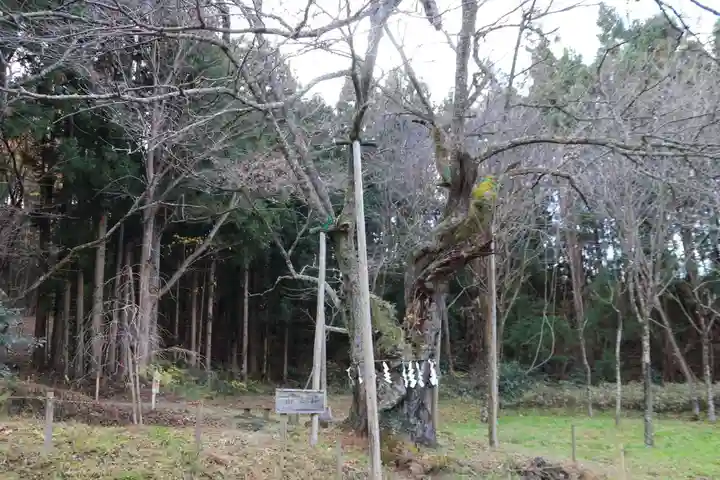 王子神社の自然