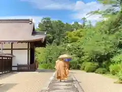 唐招提寺の建物その他