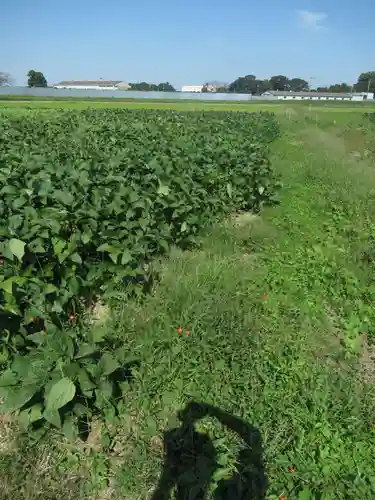 神明神社(千葉県)