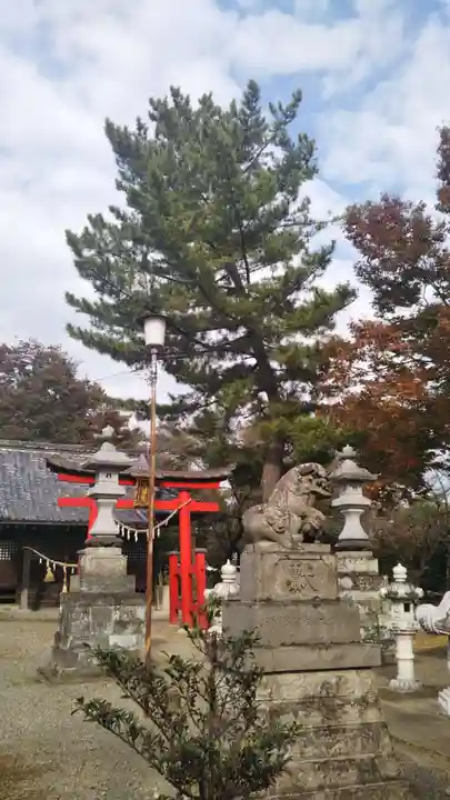 八幡神社の狛犬