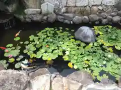 福祥寺（須磨寺）の庭園