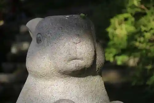 出雲大神宮の狛犬