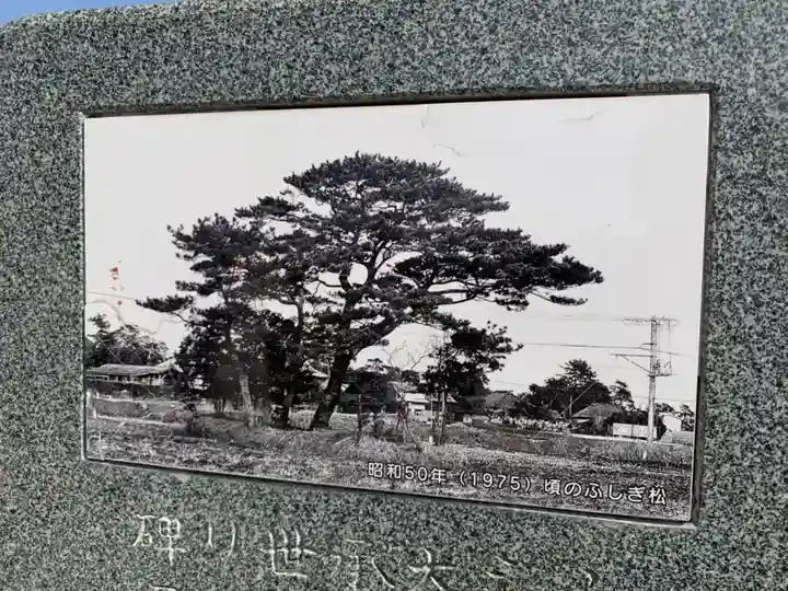 ふしぎ松稲荷大明神(千葉県)