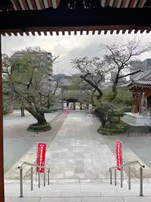 伝通院(東京都)