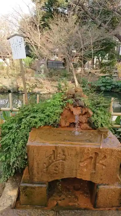 瀧泉寺(目黒不動尊)の手水舎