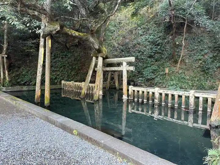 鹿島神宮(茨城県)