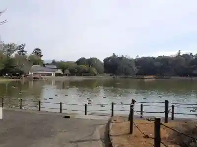 長山稲荷社（橿原神宮末社）の庭園
