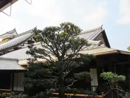 龍泉菴(京都府)