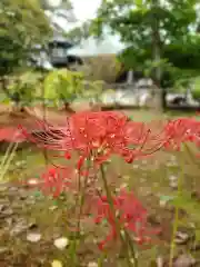 愛染院(東京都)