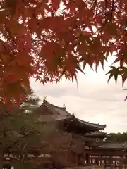 平等院の建物その他