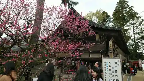 北野天満宮の庭園