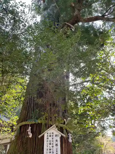 丹生川上神社（中社）(奈良県)