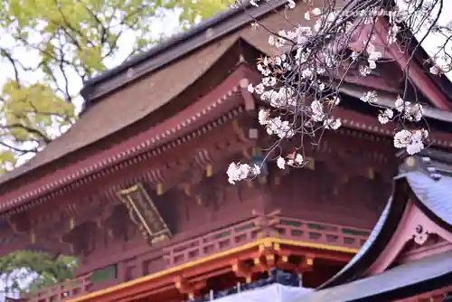 富士山本宮浅間大社の山門