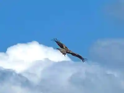 子檀嶺神社(長野県)