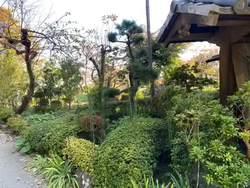 横浜　西方寺の庭園