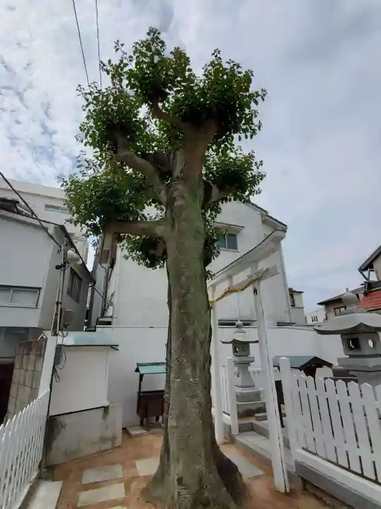 垂水御霊神社の自然