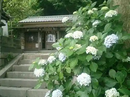 五所神社の本殿・本堂