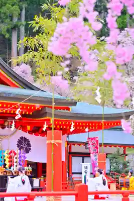 金櫻神社(山梨県)