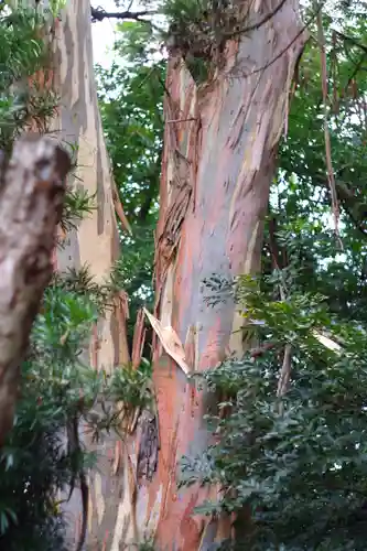 元城町東照宮の自然