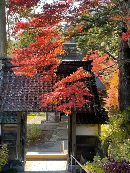 仲仙寺の山門