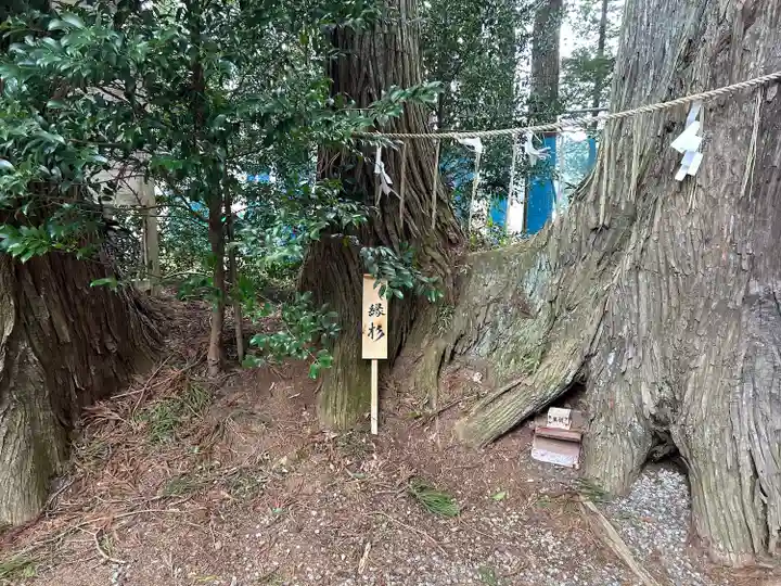 坪沼八幡神社(宮城県)