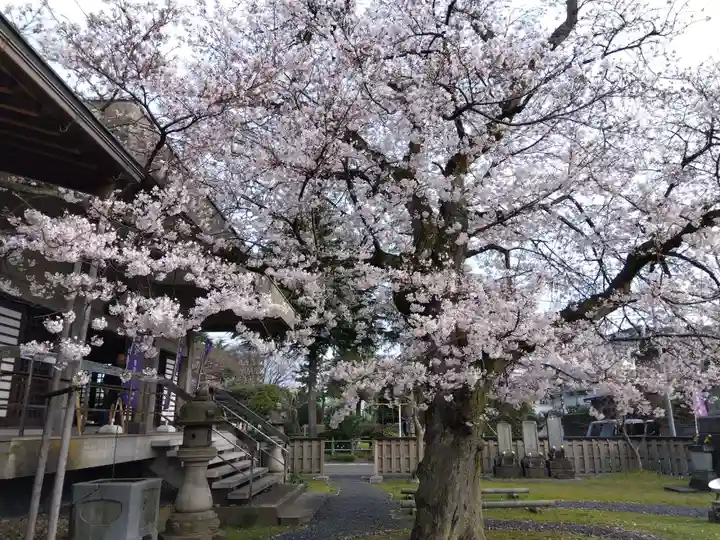 妙経寺(福井県)
