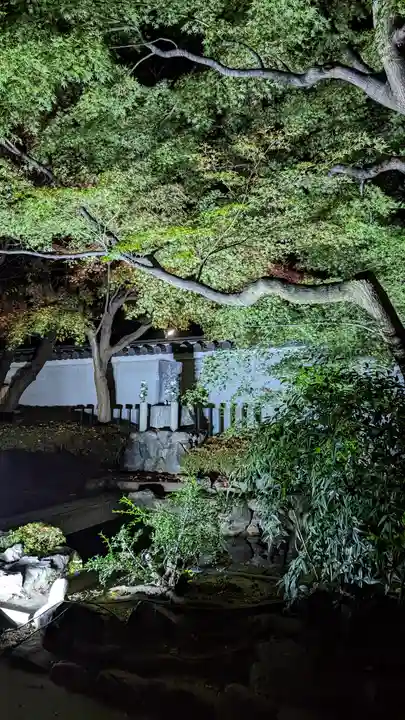 妙顯寺(妙顕寺)(京都府)