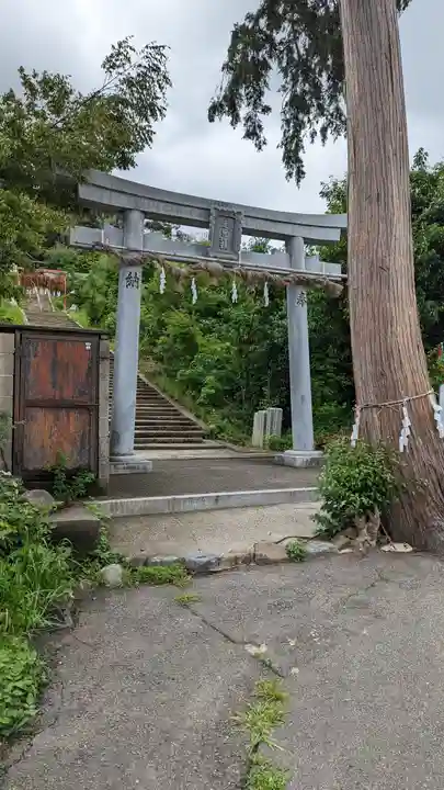 走田神社(京都府)