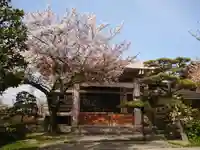 常徳寺の本殿・本堂