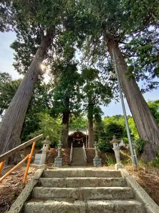 八幡白山神社の本殿・本堂