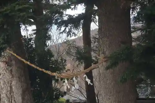 益子神社の自然