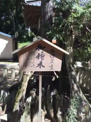 弓削神社(山梨県)