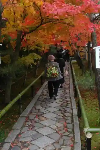 光悦寺の建物その他