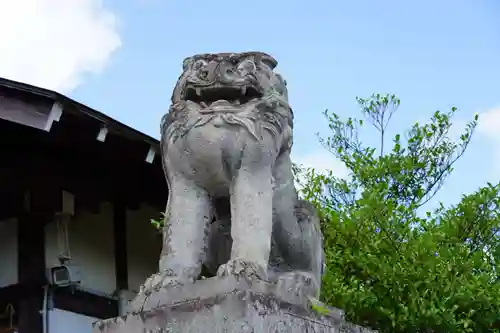 開成山大神宮の狛犬