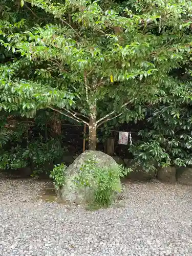 天河大辨財天社(奈良県)