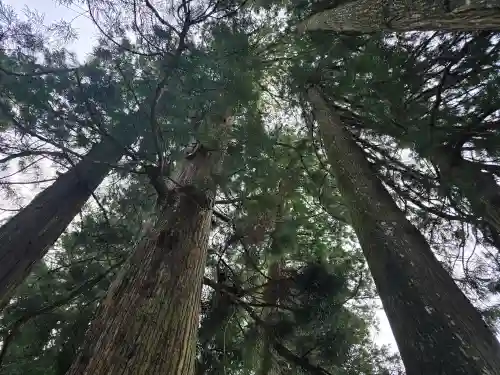 室生龍穴神社(奈良県)
