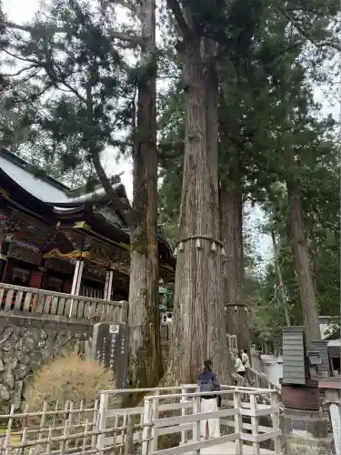 三峯神社(埼玉県)