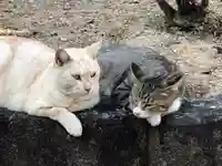 最上稲荷山妙教寺の動物