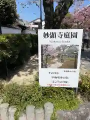 妙顯寺（妙顕寺）(京都府)