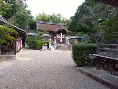 老杉神社(滋賀県)