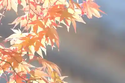 仁和寺(京都府)