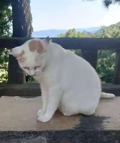 伊豆山神社(静岡県)