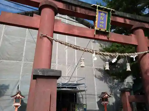 白鬚神社(滋賀県)