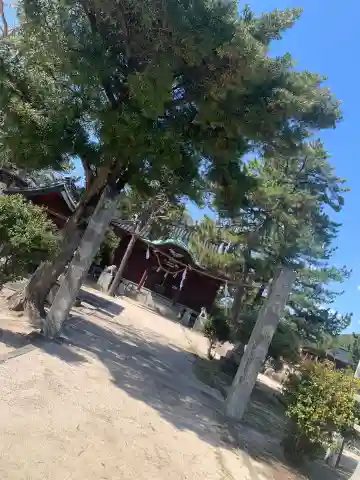 厳島神社の本殿・本堂