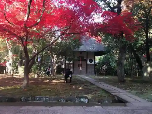 平林寺の自然