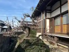 大源寺の景色