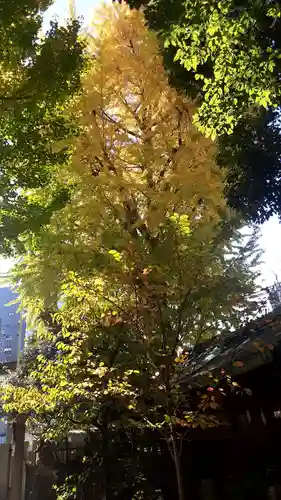 小野照崎神社(東京都)