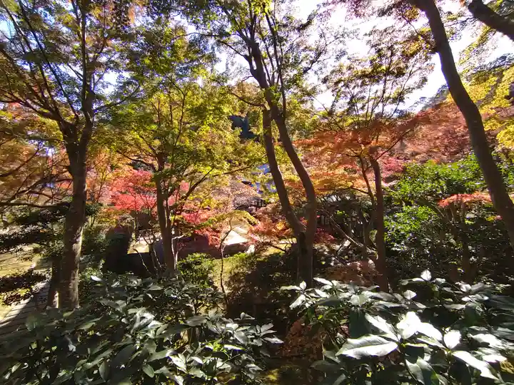 長壽寺(長寿寺)(神奈川県)
