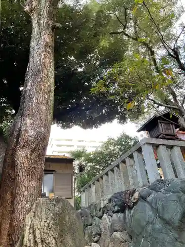 榊森白山社(愛知県)